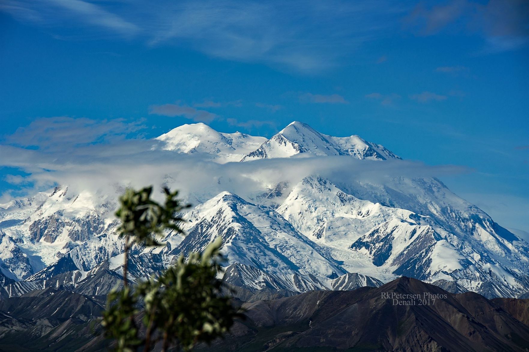 The high one (Denali National Park)